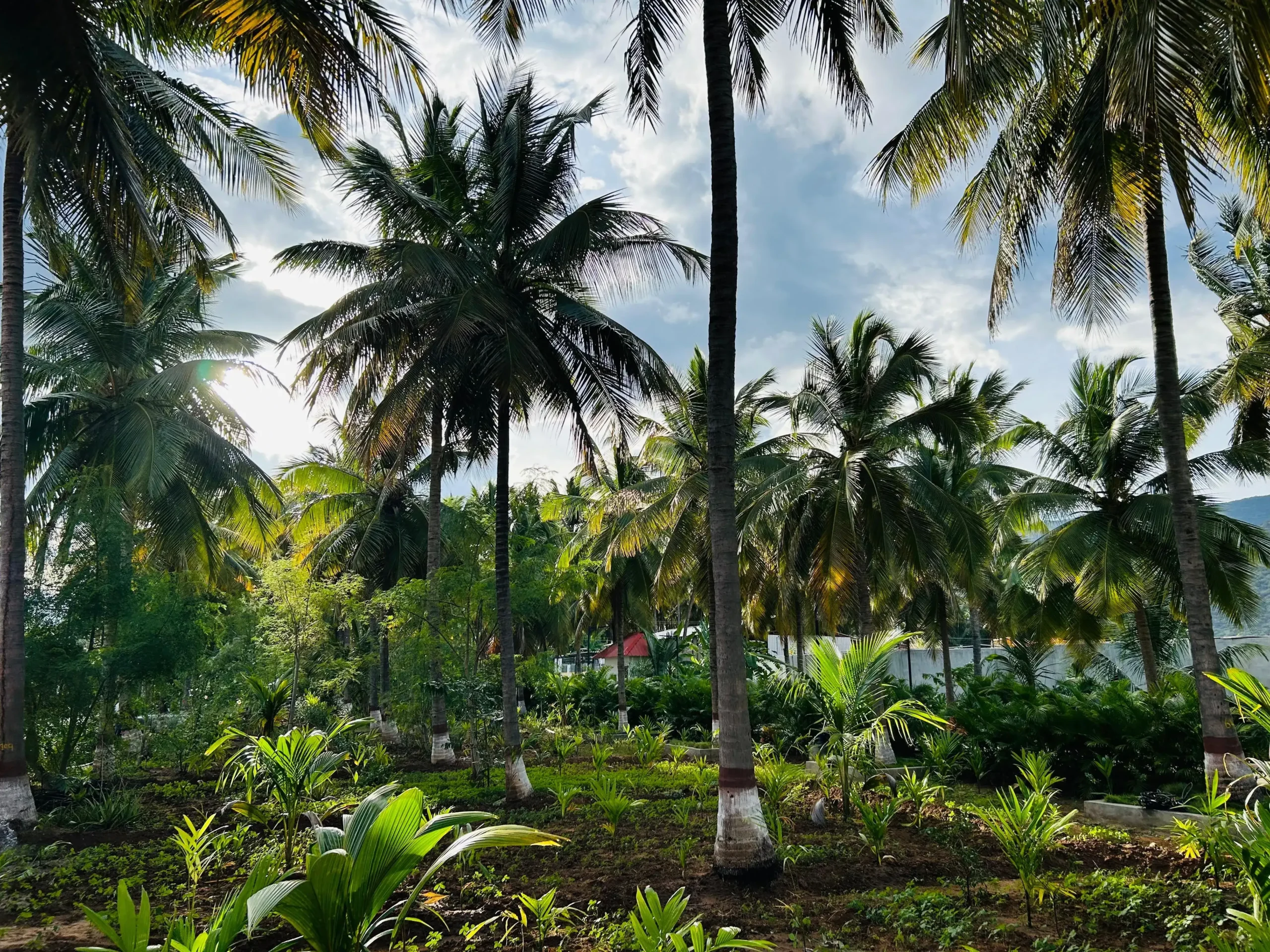 Outdoor wedding venue in Coimbatore with elegant decor
